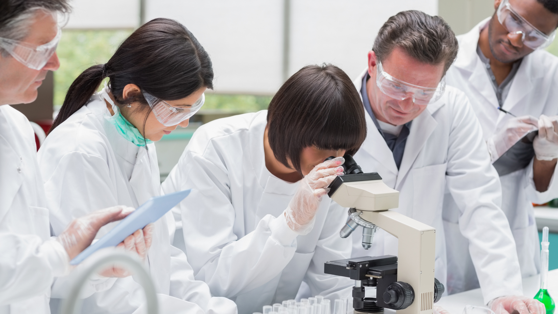 An image of some lab technicians working together on a project.